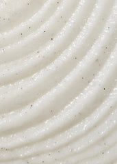 Coco Colada Shea Sugar Scrub