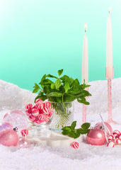Merry Mint Lip Butter